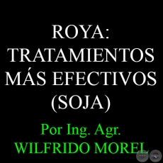 ROYA: TRATAMIENTOS MS EFECTIVOS - Por Ing. Agr. WILFRIDO MOREL