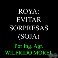 ROYA: EVITAR SORPRESAS - Por Ing. Agr. WILFRIDO MOREL