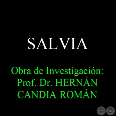 SALVIA - Obra de Investigación: Prof. Dr. HERNÁN CANDIA ROMÁN