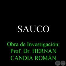 SAUCO - Obra de Investigación: Prof. Dr. HERNÁN CANDIA ROMÁN