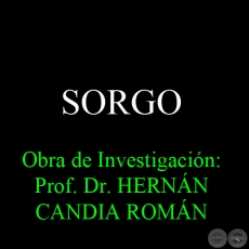 SORGO - Obra de Investigación: Prof. Dr. HERNÁN CANDIA ROMÁN