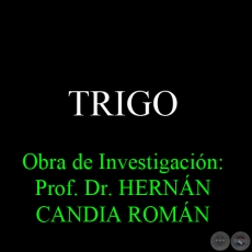 TRIGO - Obra de Investigación: Prof. Dr. HERNÁN CANDIA ROMÁN