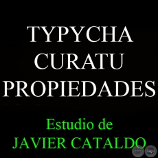 TYPYCHA CURATU - PROPIEDADES - Estudio de JAVIER CATALDO