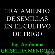 TRATAMIENTO DE SEMILLAS EN EL CULTIVO DE TRIGO - Por Ing. Agr. GRISELDA MENDOZA
