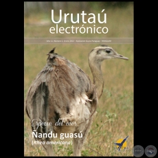 URUTAÚ ELECTRÓNICO - NÚMERO 01 - AÑO 11 - ENERO 2013