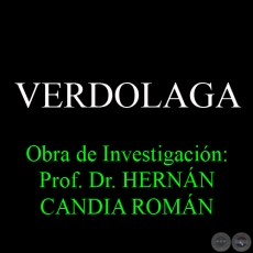 VERDOLAGA - Obra de Investigación: Prof. Dr. HERNÁN CANDIA ROMÁN