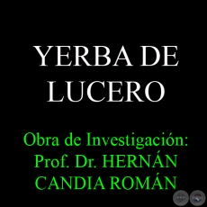 YERBA DE LUCERO - Obra de Investigación: Obra de Investigación:  Prof. Dr. HERNÁN CANDIA ROMÁN