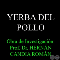 YERBA DEL POLLO - Obra de Investigación: Prof. Dr. HERNÁN CANDIA ROMÁN