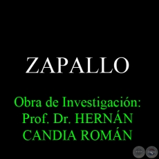 ZAPALLO - Obra de Investigación: Prof. Dr. HERNÁN CANDIA ROMÁN