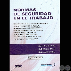 NORMAS DE SEGURIDAD EN EL TRABAJO, 2005 (2ª Edición) - Por MARIO PAZ CASTAING, ZULLY ALMIRÓN ALONSO y HUGO ACOSTA CARDOZO