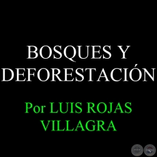 BOSQUES Y DEFORESTACIN: ENTRE LA EXUBERANCIA NATURAL Y LA ARIDEZ DE LAINTERVENCIN HUMANA - Por LUIS ROJAS VILLAGRA