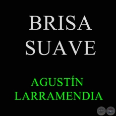 BRISA SUAVE - AGUSTÍN LARRAMENDIA