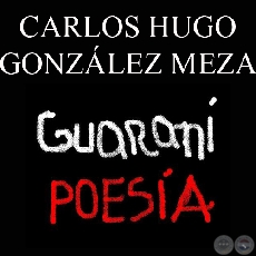 POESAS Y CANCIONES EN GUARAN DE CARLOS HUGO GONZALEZ MEZA