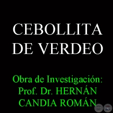 CEBOLLITA DE VERDEO - Obra de Investigación: Prof. Dr. HERNÁN CANDIA ROMÁN