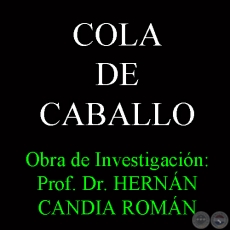 COLA DE CABALLO - Obra de Investigación: Prof. Dr. HERNÁN CANDIA ROMÁN