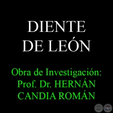DIENTE DE LEÓN - Obra de Investigación: Prof. Dr. HERNÁN CANDIA ROMÁN