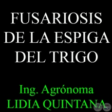 FUSARIOSIS DE LA ESPIGA DEL TRIGO - Ing. Agrónoma LIDIA QUINTANA DE VIEDMA