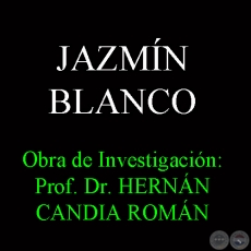 JAZMÍN BLANCO - Obra de Investigación: Prof. Dr. HERNÁN CANDIA ROMÁN