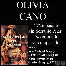 NO ENTIENDO. NO COMPRENDO y poesías de OLIVIA CANO 