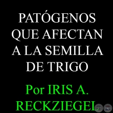 PATGENOS QUE AFECTAN A LA SEMILLA DE TRIGO - Ingeniera Agrnoma IRIS A. RECKZIEGEL 