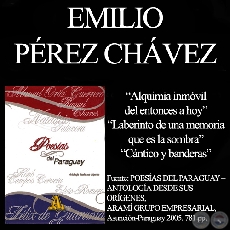 ALQUIMIA INMÓVIL DEL ENTONCES A HOY, LABERINTO DE UNA MEMORIA QUE ES LA SOMBRA y CÁNTICO Y BANDERAS - Poesías de EMILIO PÉREZ CHÁVEZ