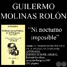 MI NOCTURNO IMPOSIBLE (Poesía de Guillermo Molinas Rolón)
