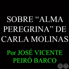 SOBRE ALMA PEREGRINA DE CARLA MOLINAS - Por JOSÉ VICENTE PEIRÓ BARCO - Diciembre 2014