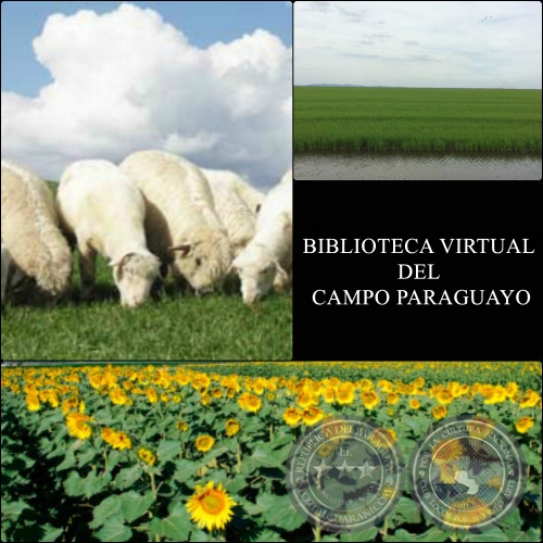 BIBLIOTECA VIRTUAL DEL CAMPO PARAGUAYO - AGRICULTURA - GANADERÍA - REVISTAS DIGITALES