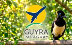 ASOCIACIÓN GUYRA PARAGUAY