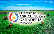 BIBLIOTECA VIRTUAL DEL MINISTERIO DE AGRICULT