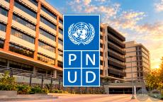 PNUD