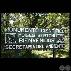 MONUMENTO CIENTÍFICO MOISES BERTONI