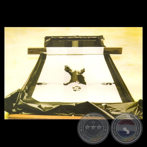 LA ESPALDA NEGRA, 1999 (Instalación de OSVALDO SALERNO)