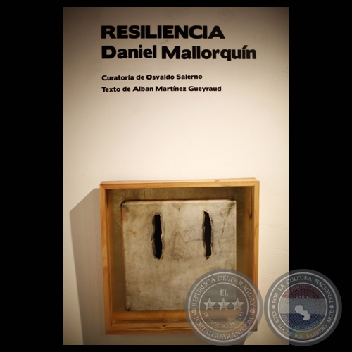 RESILIENCIA, 2012 - Obras DANIEL MALLORQUÍN