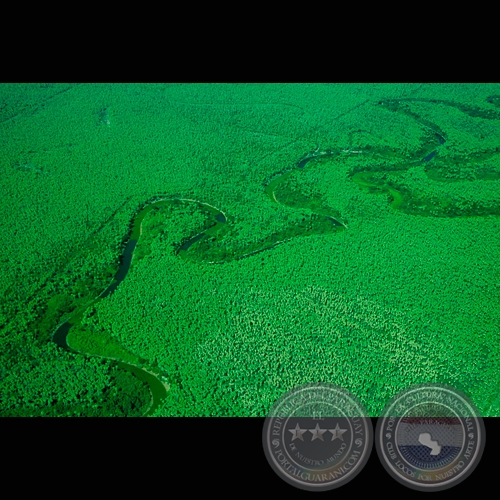 TODO VERDE - Fotografía de FERNANDO ALLEN