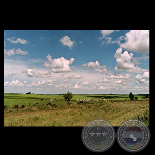 PAISAJE DE RUTA I - Fotografa de FERNANDO ALLEN