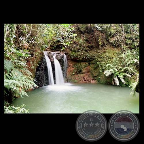 SALTO TATI YUPI - Fotografía de FERNANDO ALLEN