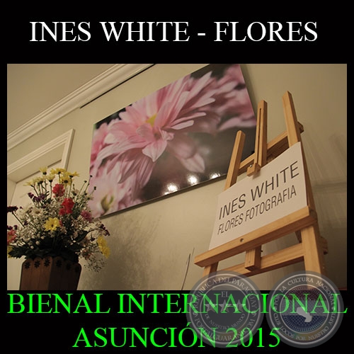 INES WHITE - FLORES FOTOGRAFÍA - BIENAL INTERNACIONAL ASUNCIÓN 2015