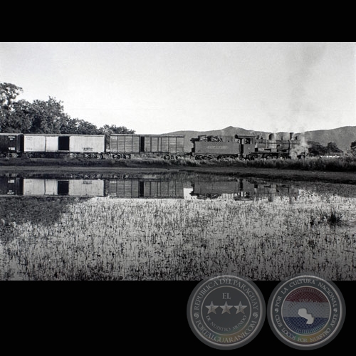 RAMAL SAN SALVADOR-ABAÍ - Fotografía de Carlos Bittar - 12/1991 