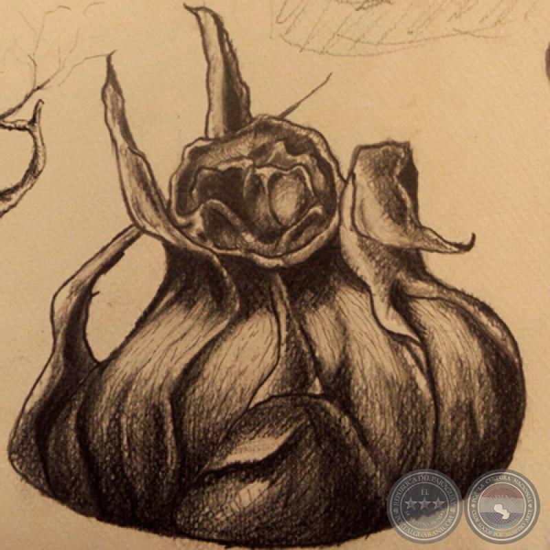 LA OTRA CARNE 2010 - Dibujos de DANIEL MALLORQUÍN
