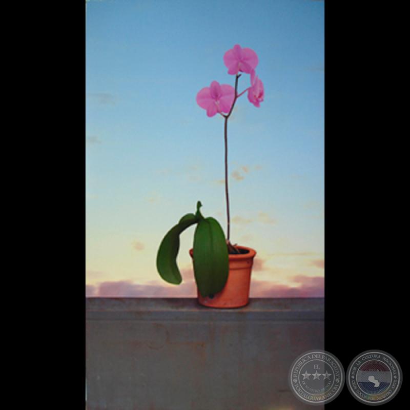 Obra de Sebastián Díaz