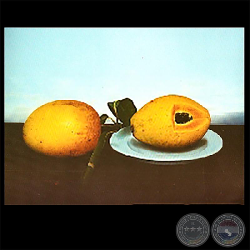 MANGO Y MAMÓN - Obra de Sebastián Díaz - Año 2005