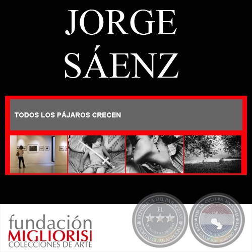 TODOS LOS PÁJAROS CRECEN - Ensayo fotográfico de JORGE SÁENZ