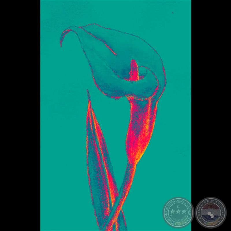 CALAS DIGITALES, 2010 - Arte digital de GABRIEL BRIZUELA