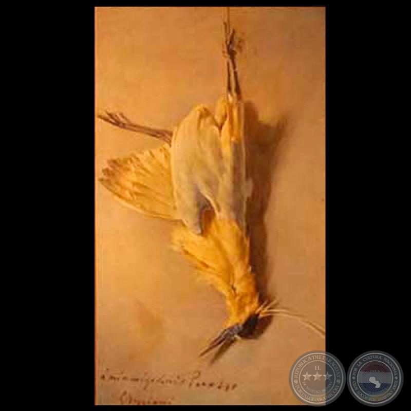 SIN TÍTULO, 1897 - Óleo de GUIDO BOGGIANI