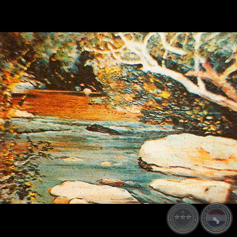 ARROYO (Óleo de JUAN A. SAMUDIO)