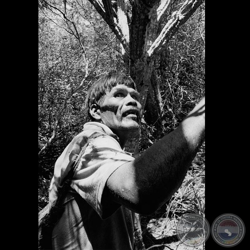 INDÍGENAS DEL PARAGUAY, 2007 - Fotografía de JUAN BRITOS