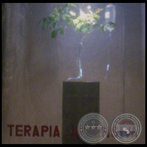 TERAPIA INTENSIVA - Instalación de JUAN PABLO PISTILLI