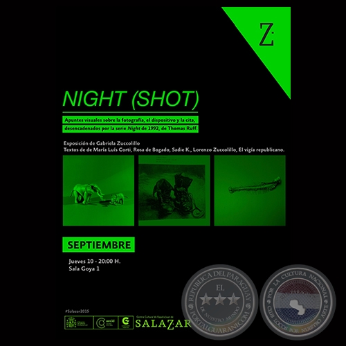 NIGHT (SHOT), 2015 - Exposición de GABRIELA ZUCCOLILLO