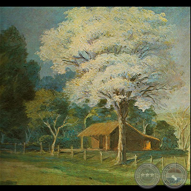 LAPACHO BLANCO - Óleo de PABLO ALBORNO